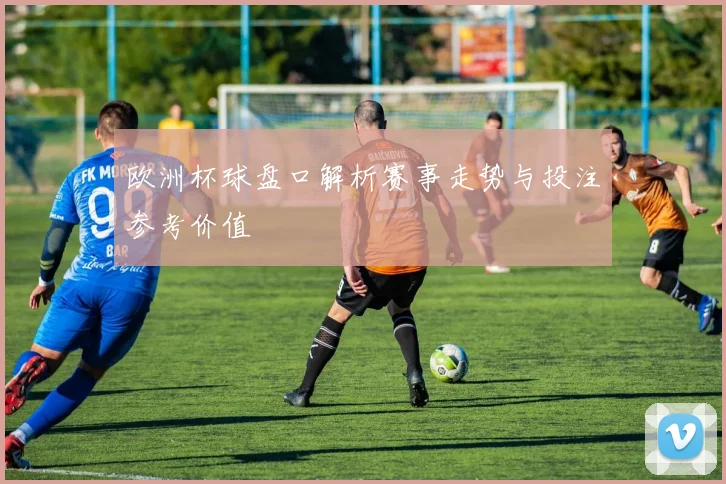 欧洲杯球盘口解析赛事走势与投注参考价值