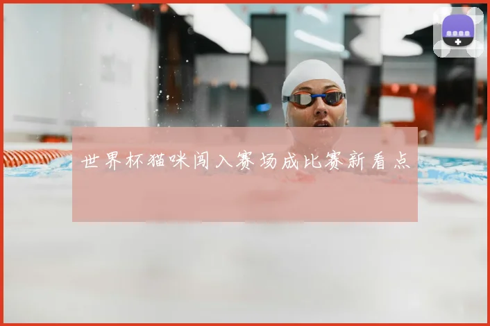 世界杯猫咪闯入赛场成比赛新看点
