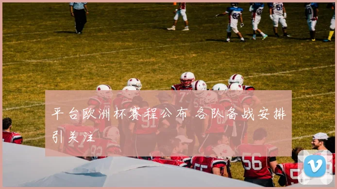 平台欧洲杯赛程公布 各队备战安排引关注