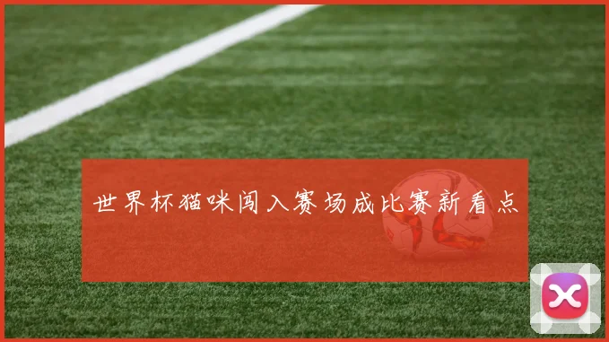 世界杯猫咪闯入赛场成比赛新看点