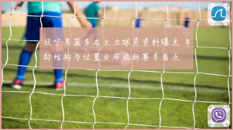 辽宁男篮多名主力球员资料曝光 年龄结构与位置分布成新赛季看点