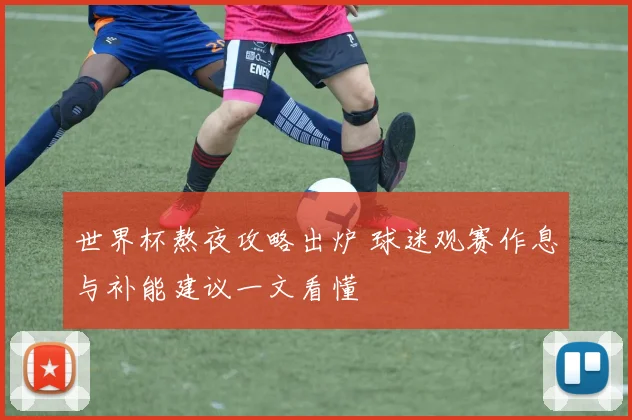 世界杯熬夜攻略出炉 球迷观赛作息与补能建议一文看懂