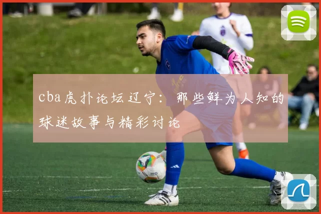 cba虎扑论坛辽宁：那些鲜为人知的球迷故事与精彩讨论