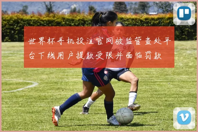 世界杯手机投注官网被监管查处平台下线用户提款受限并面临罚款