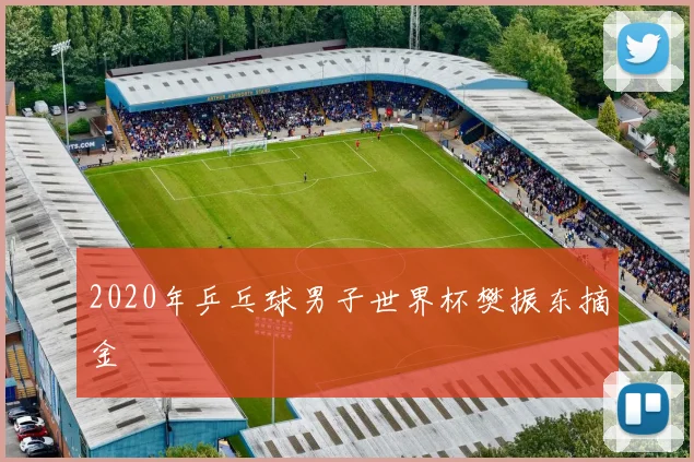 2020年乒乓球男子世界杯樊振东摘金