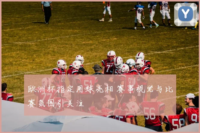 欧洲杯指定用球亮相 赛事视觉与比赛氛围引关注