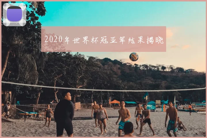 2020年世界杯冠亚军结果揭晓