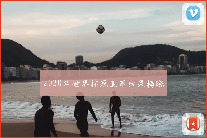 2020年世界杯冠亚军结果揭晓
