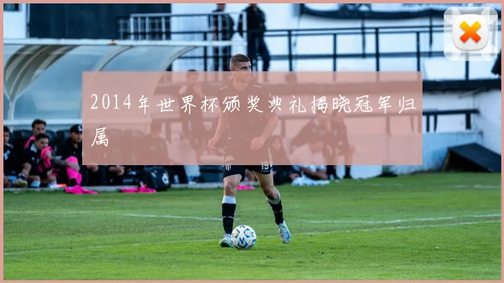 2014年世界杯颁奖典礼揭晓冠军归属
