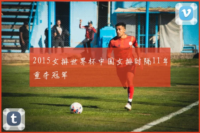 2015女排世界杯中国女排时隔11年重夺冠军