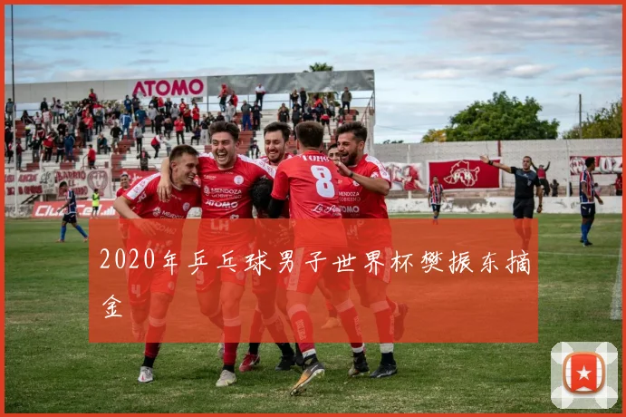 2020年乒乓球男子世界杯樊振东摘金